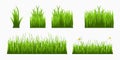 Set of clumps of grass. Fragments of green grass Royalty Free Stock Photo