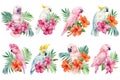 Set Cockatoo. Tropical leaves, hibiscus flower and parrot, isolated white background, watercolor painting, jungle design
