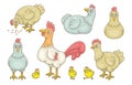 Set of Cocks and Hens