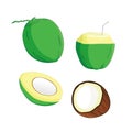 Set of fresh coconut fruit design illustration