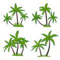 Set of coconut palm tree isolated on white background. Royalty Free Stock Photo