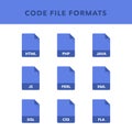 Set of code File Formats and Labels in flat icons style. Vector illustration