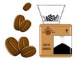 Set of coffee beans transforming from white to black roasted or coffee stages roasting. eps vector.