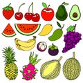 Set of cold weather and tropical fruits sweet delicious vector illustration design art hand drawing