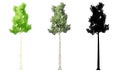 Set or collection of Agarwood trees, painted, natural and as a black silhouette on white background