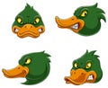 Set collection of angry duck Mascot