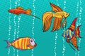 Set collection of aquarium fish Royalty Free Stock Photo