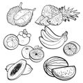 Set collection doodle of tropical fruits on white background by Vector illustration Royalty Free Stock Photo