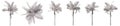 Set or collection of drawings of Palm trees isolated on white background Royalty Free Stock Photo