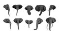 set collection of elephant\'s head. cartoon flat vector illustration. Royalty Free Stock Photo