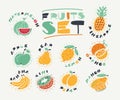 Set collection of fruits. Royalty Free Stock Photo