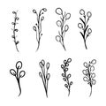 Set Collection of Herb Branches Flourishes Doodle Outline. Vector Illustration of Monogram Botanical and Wild Plant Floral for des