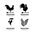 Set collection premium minimalism Rooster icon logo design template Vector Illustration