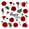 Set Collection Red Roses and leaves realistic isolated on white background. design elements for greeting card and invitation of Royalty Free Stock Photo