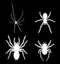 Set collection of spider vector silhouette illustration isolated on black background. Black widow tattoo sign. Royalty Free Stock Photo