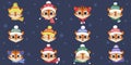 Set a collection of twelve cute tiger in a winter hat and a scarf of different designs on a blue background, snowflakes