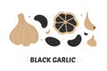 Set, collection of vector black garlic icons, fermented garlic whole and separated cloves