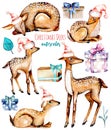 Set, collection of watercolor deers in Christmas hats, baby deers and gift boxes