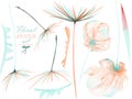 Set, collection with the watercolor isolated pink and mint flower elements and dandelion fuzzies