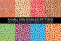 Set color animal skin Seamless Pattern  texture eps 10 illustration Leopard repeating background Royalty Free Stock Photo