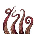 Set of color cartoon sketches of octopus tentacles. Creepy limbs of marine inhabitants. Vector object