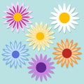 Set of color daisy chamomile. Cute flower plant collection. Stock vector illustration