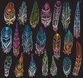 Set of color feathers