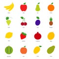 Set of color fruit icons and berry icons