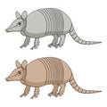 Set of color illustration with an armadillo. Isolated vector objects.