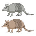 Set of color illustration with an armadillo. Isolated vector objects.