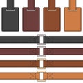 Set of color illustration of leather belt with tag. Isolated vector object.