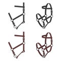 Set of color illustrations with leather halter, headstall, bridle. Isolated vector objects.