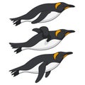 Set of color illustrations with penguins swimming in the water. Isolated vector objects.