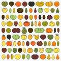 Set of color illustrations with tomatoes of various varieties and shapes. Isolated vector objects.