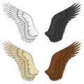 Set of color illustrations of wings. Isolated vector objects.