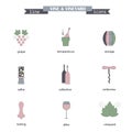 Set of color line icons with different wine elements - bottle, grape, corkscrew, vine leaf Royalty Free Stock Photo