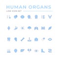 Set color line icons of human organs