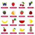 Set of color simple icons - fruits and berries isolated Royalty Free Stock Photo