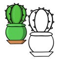 A set of color and a sketch of pictures. Large round green prickly cactus in a green ceramic pot, vector