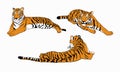 Set of color tigers simple chinese tiger design