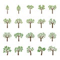 Set color Trees and Leafs. Vector Illustration.