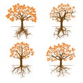 Set of Color Trees and Roots. Vector Illustration.