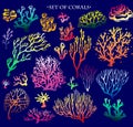 Set of color underwater coral reef elements