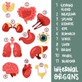 A set of color vector illustrations of human internal organs with captions. Suitable for printing, Internet and Royalty Free Stock Photo