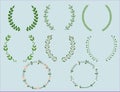 Set of color wreaths and borders