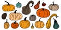 Set of colored black thin line pumpkins on a white background. Thanksgiving autumn design background. Vector illustration Royalty Free Stock Photo