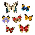 Set of colored butterflies realistic