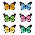 Set of colored butterflies