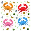 Set of colored crab with big claws. Seafood with lemon slices, garlic and rosemary. Crab dish with herbs hand drawn