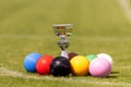 A set of colored croquet balls and a winners cup on the green lawn, blurred background